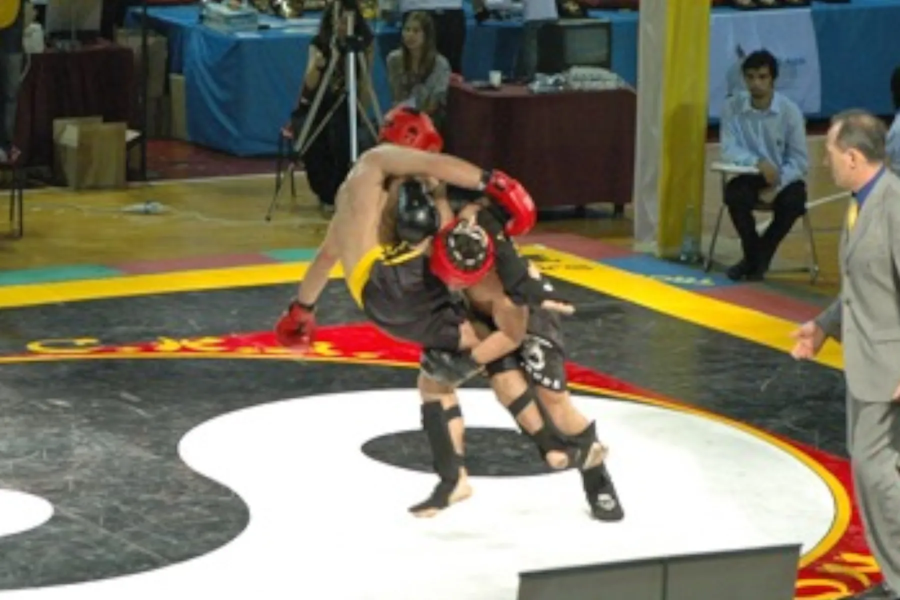 Sanda fight